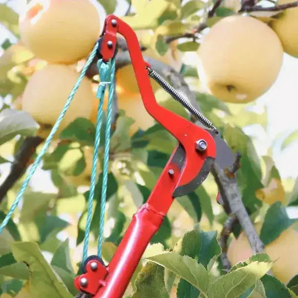 High-Altitude Extendable Tree Shears