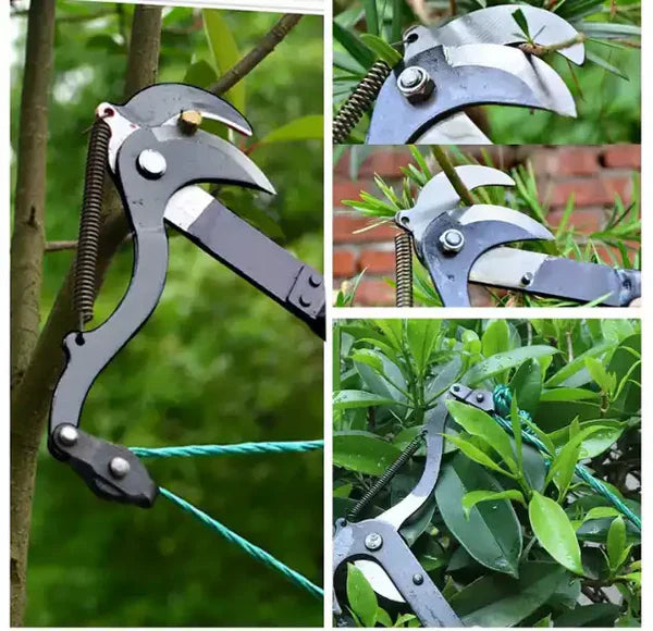 High-Altitude Extendable Tree Shears