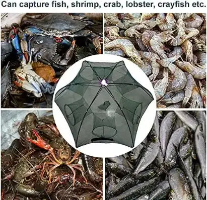 Portable Fishing Net Trap with 6 Holes