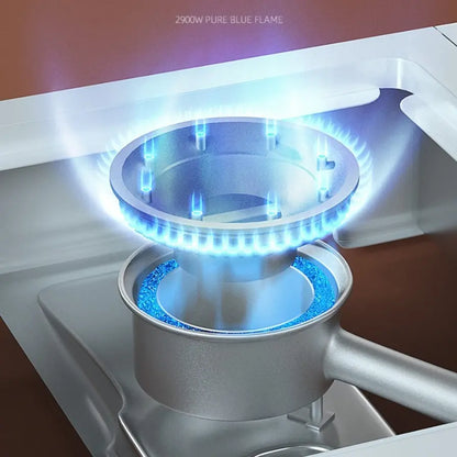 Portable Butane Gas Stove